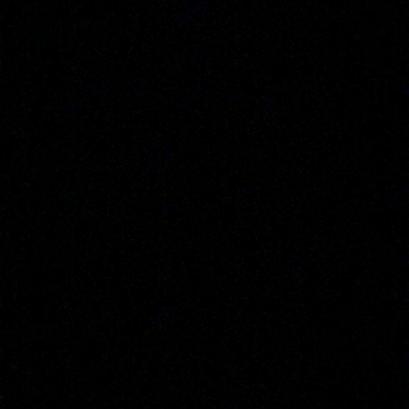 Meet your Posher, Ella - Picture 1 of 1